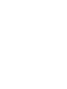 WILDRIDE